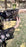 Black Bloom (Stitched)